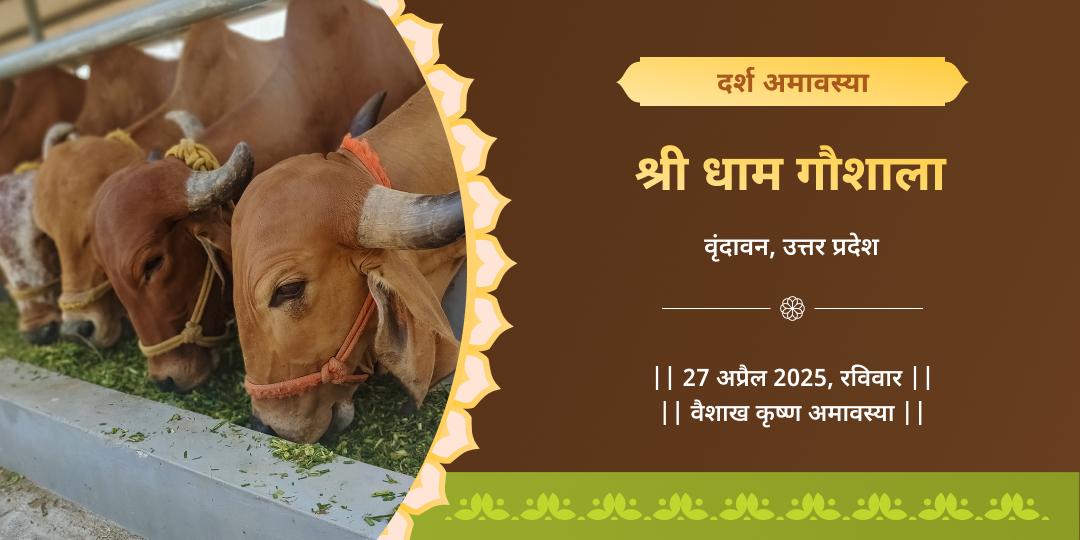 दर्श अमावस्या विशेष गौ सेवा