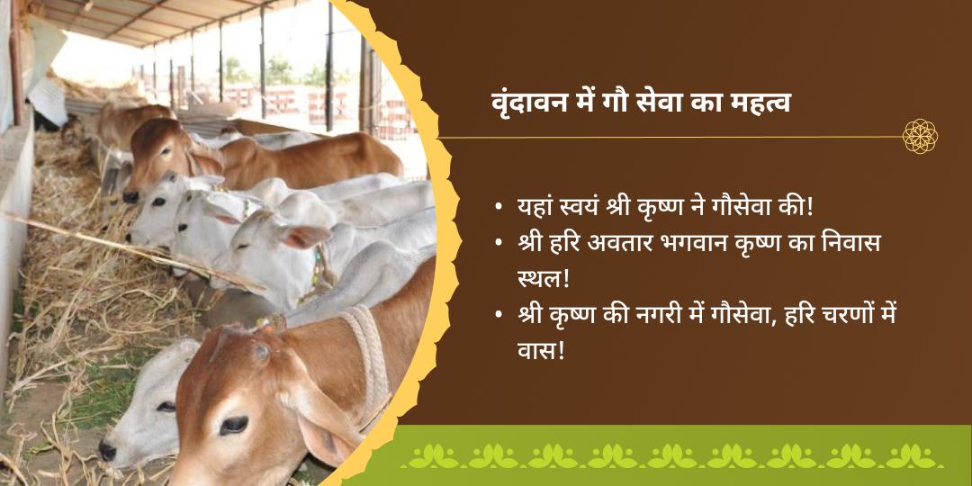 दर्श अमावस्या विशेष गौ सेवा