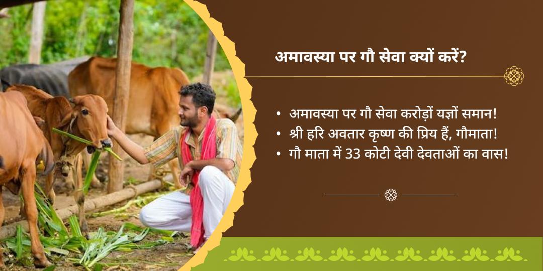 दर्श अमावस्या विशेष गौ सेवा