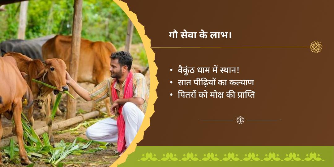 दर्श अमावस्या विशेष गौ सेवा