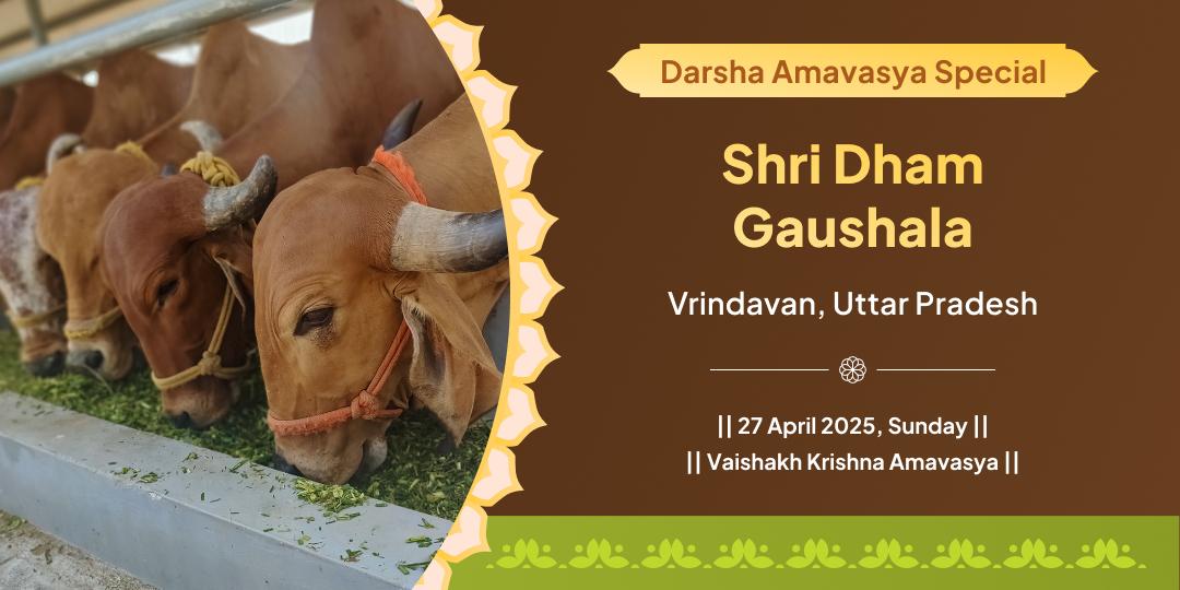 Darsha Amavasya Special Vrindavan Gauseva