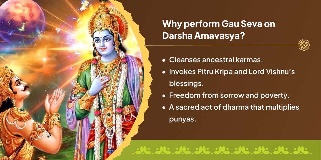 Darsha Amavasya Special Vrindavan Gauseva