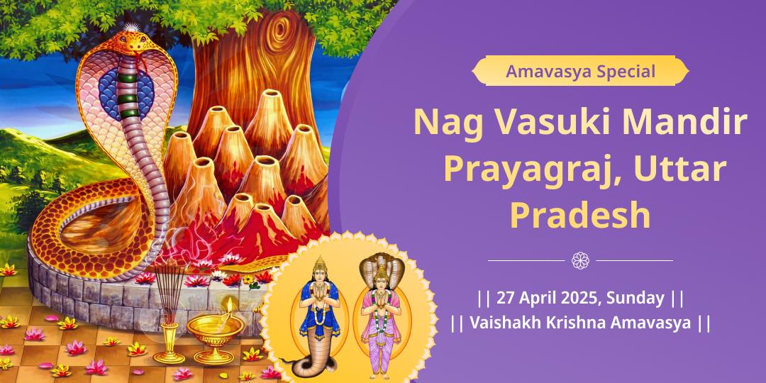  Amavasya Sarp Dosh and Rahu Ketu Shanti Chadhava 