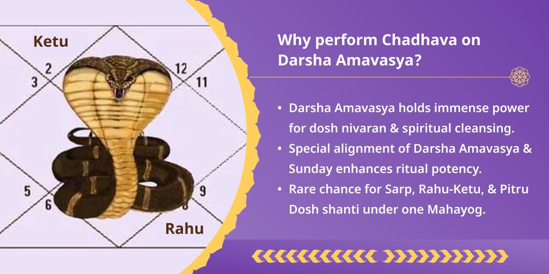 Amavasya Sarp Dosh and Rahu Ketu Shanti Chadhava 