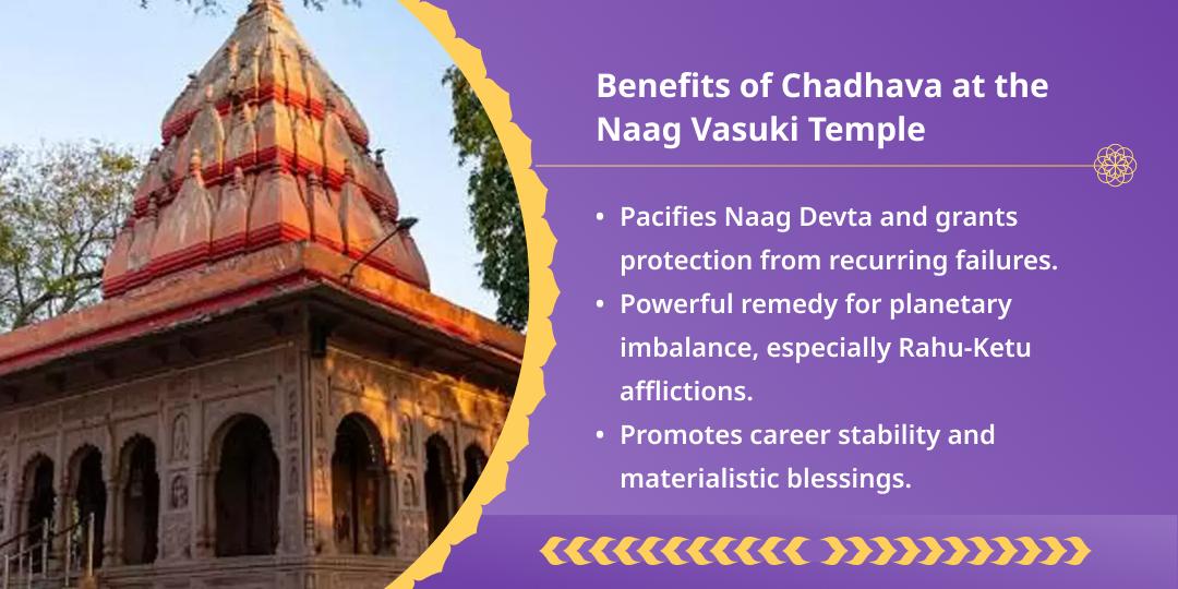  Amavasya Sarp Dosh and Rahu Ketu Shanti Chadhava 