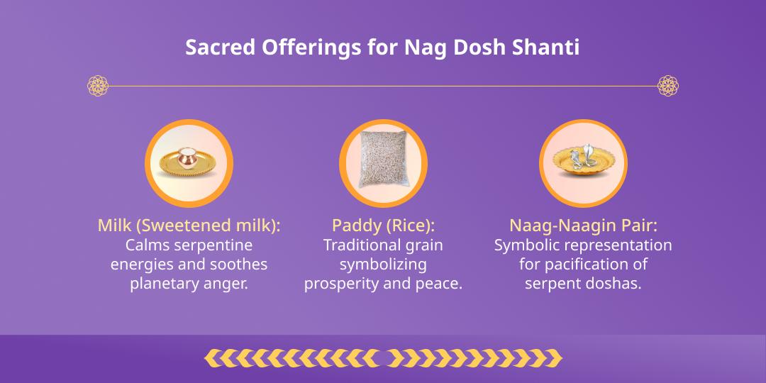  Amavasya Sarp Dosh and Rahu Ketu Shanti Chadhava 