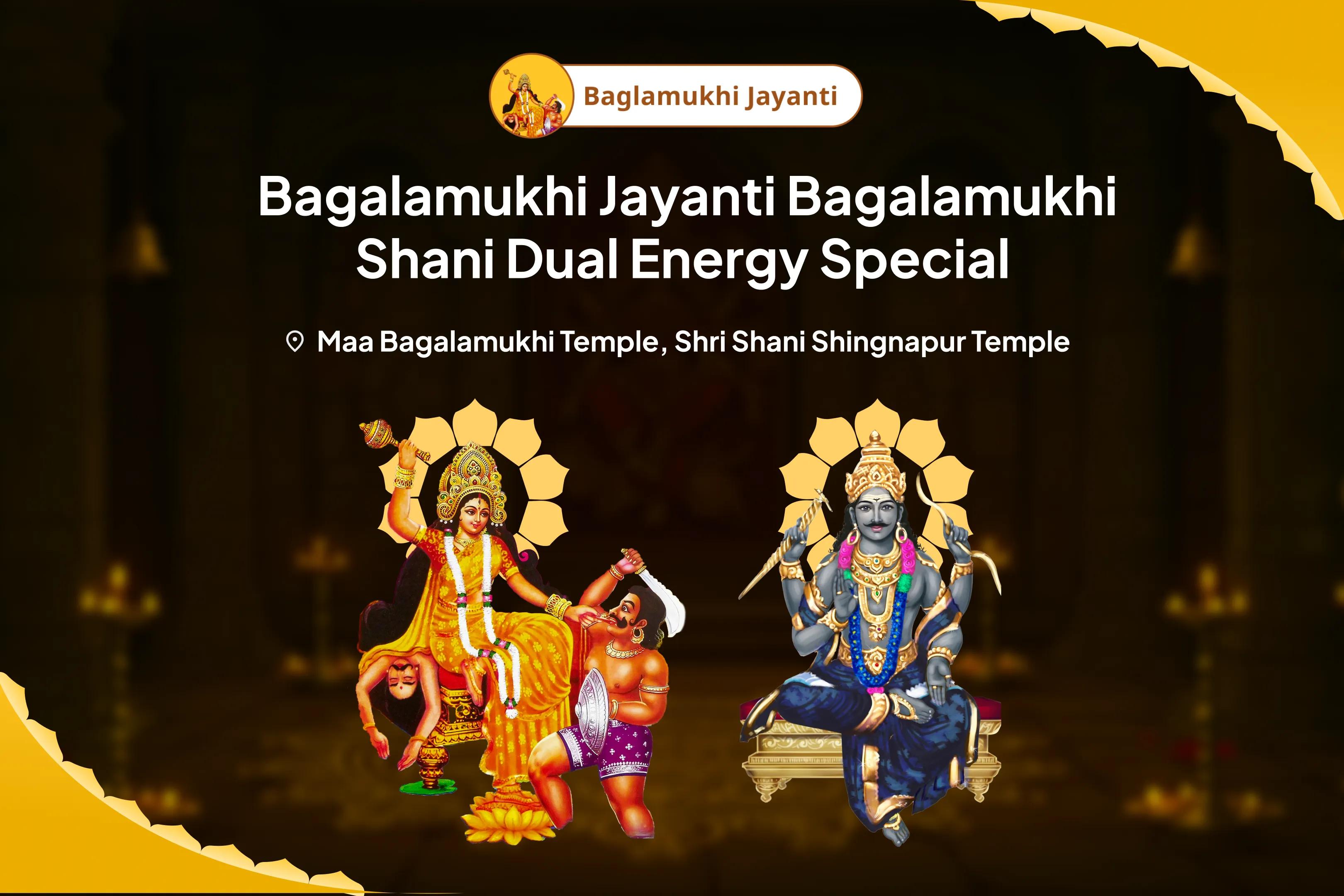 Bagalamukhi Jayanti Legal Support Combo Special Bagalamukhi Havan and Shani Til Tel Abhishek for Legal Victory and Obstacle Removal