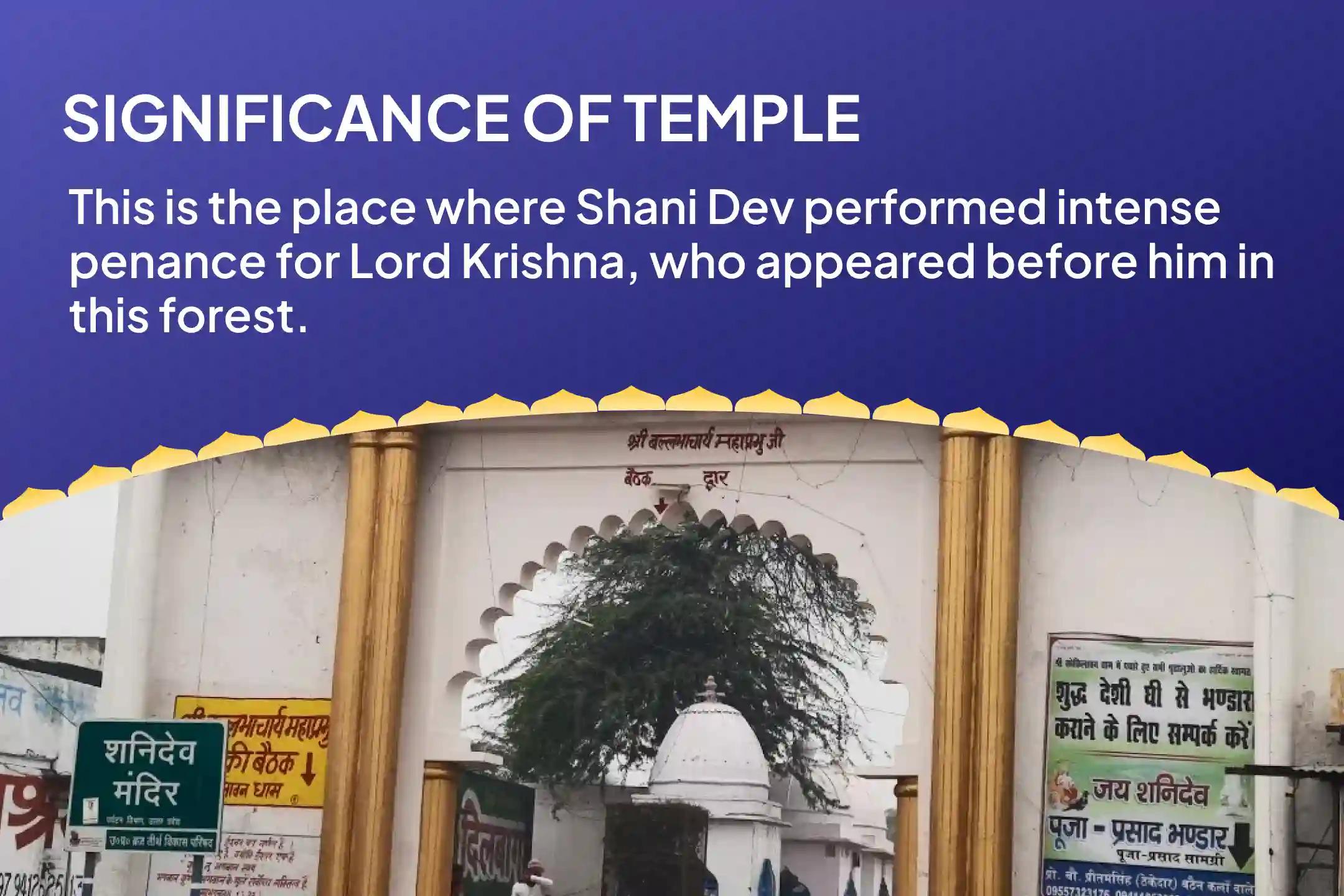 Saturday Peepal Tree Shani Shila Sthapana Special Shani Kavach Stotra Path, Krishna Govinda Mantra Jaap, and Shani Shanti Yagya Best Remedy for Saade Saati and Dhaiya Afflictions