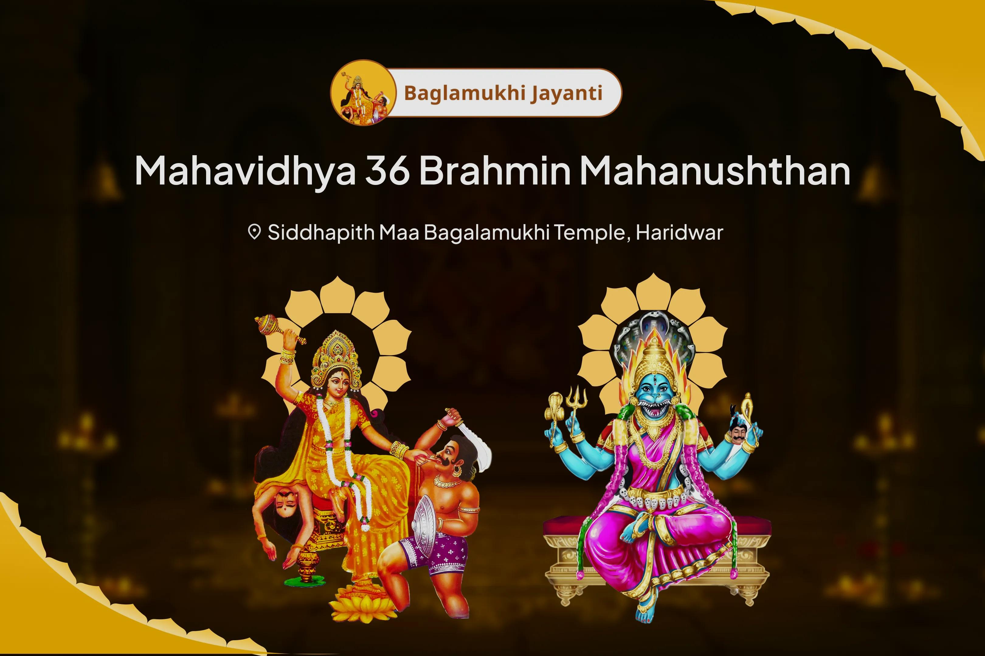 Bagalamukhi Jayanti Mahavidhya 36 Brahmin Mahanushthan Bagalamukhi-Pratyangira Kavach Path, 1,25,000 Bagalamukhi Mool Mantra Jaap and Havan for Devi's Protection to Repel Malevolent Energies and Negative Influences