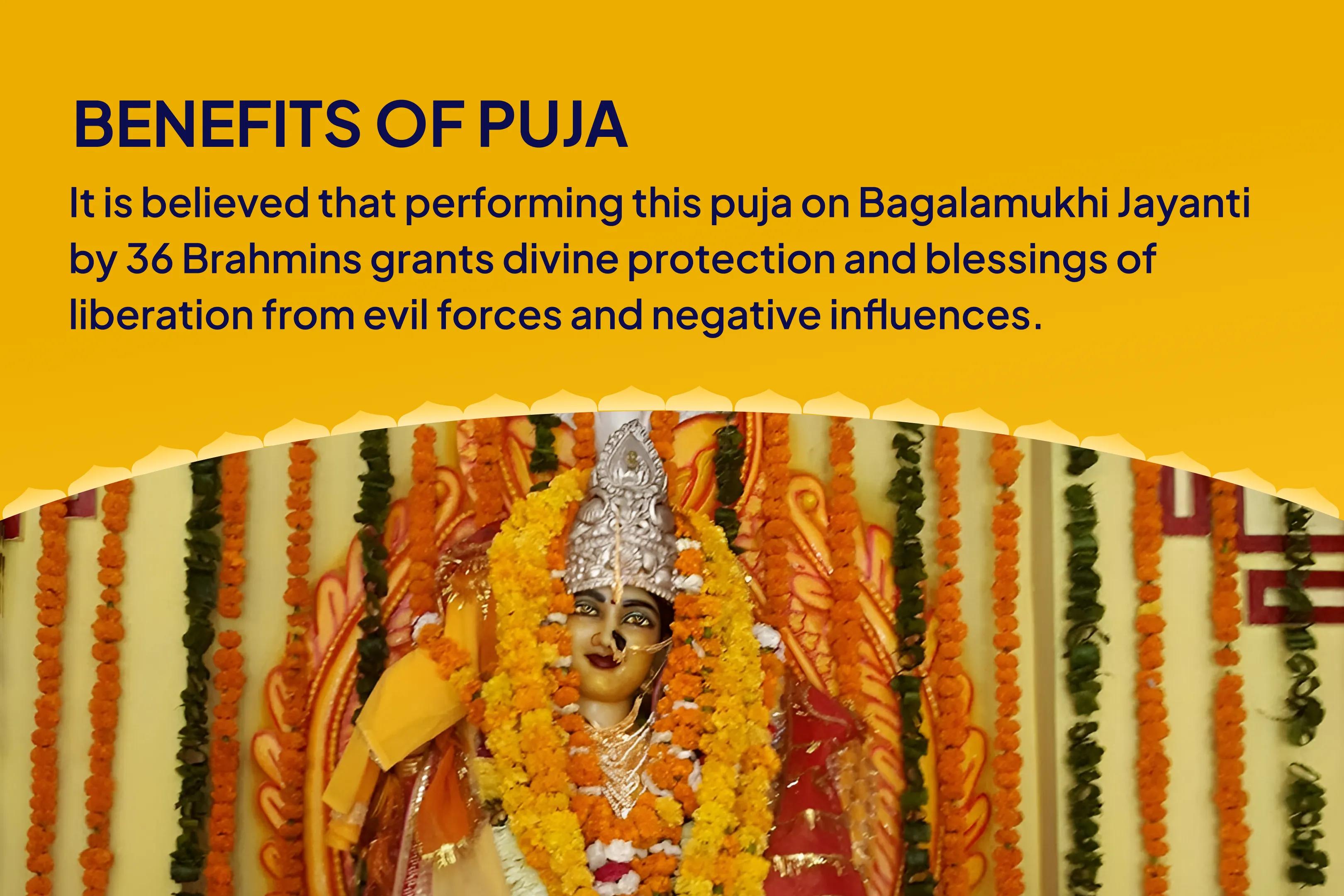 Bagalamukhi Jayanti Mahavidhya 36 Brahmin Mahanushthan Bagalamukhi-Pratyangira Kavach Path, 1,25,000 Bagalamukhi Mool Mantra Jaap and Havan for Devi's Protection to Repel Malevolent Energies and Negative Influences