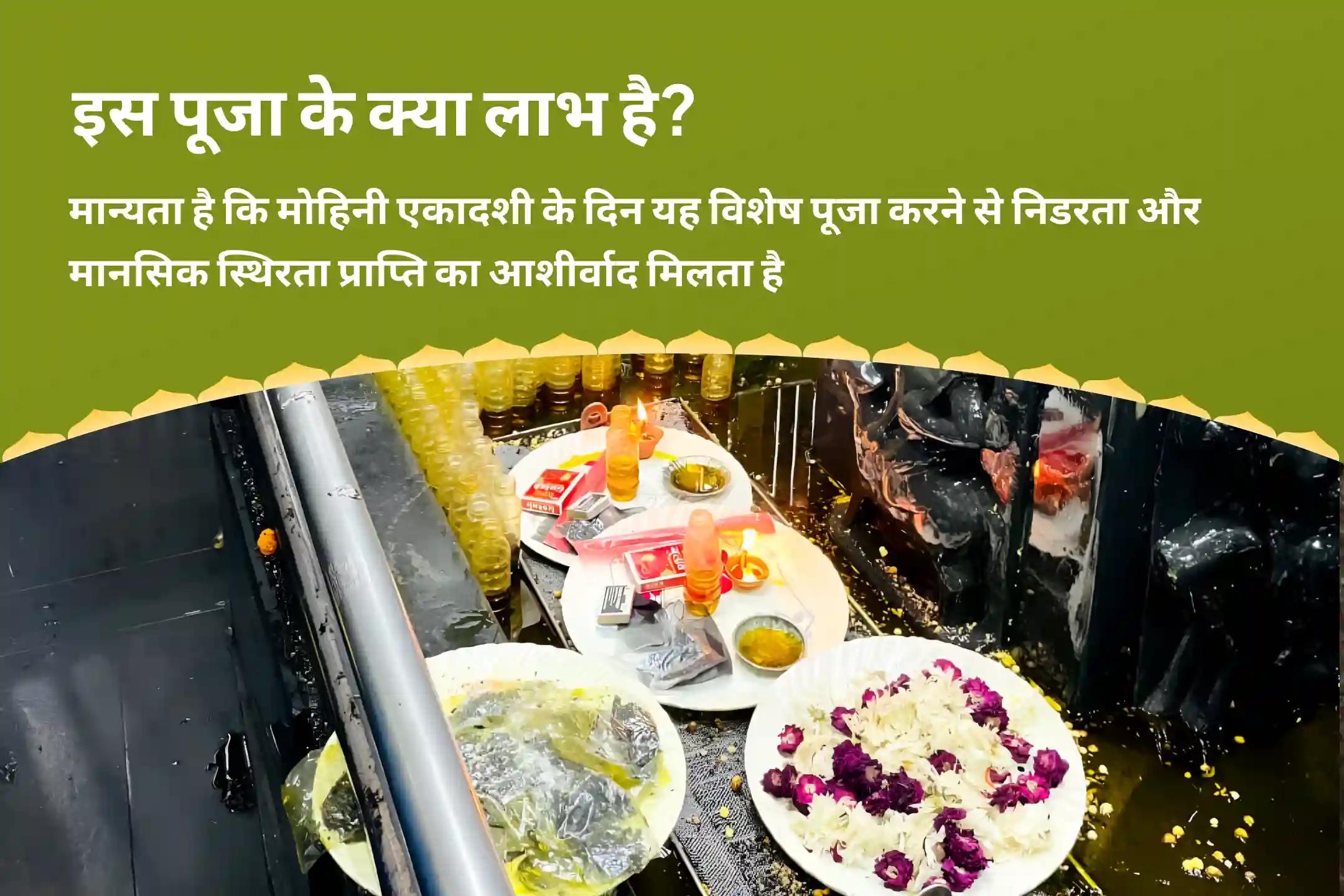 निडरता और मानसिक स्थिरता प्राप्त करने के लिए मोहिनी एकादशी राहु-केतु शांति सर्प दोष विशेष काल सर्प दोष शांति पूजा एवं सुदर्शन यज्ञ