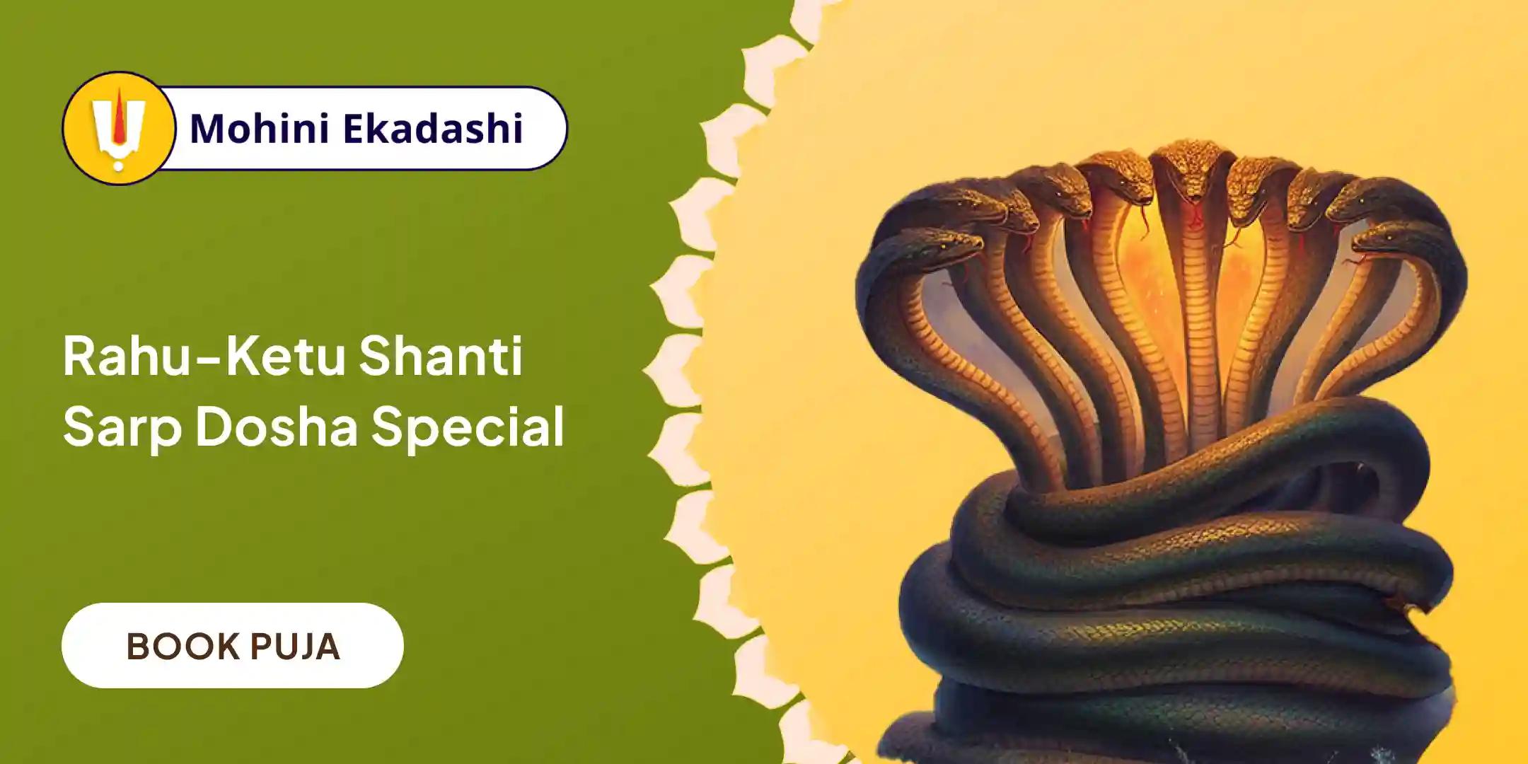 Kaal Sarp Dosh Shanti Puja and Surdarshan Yagya