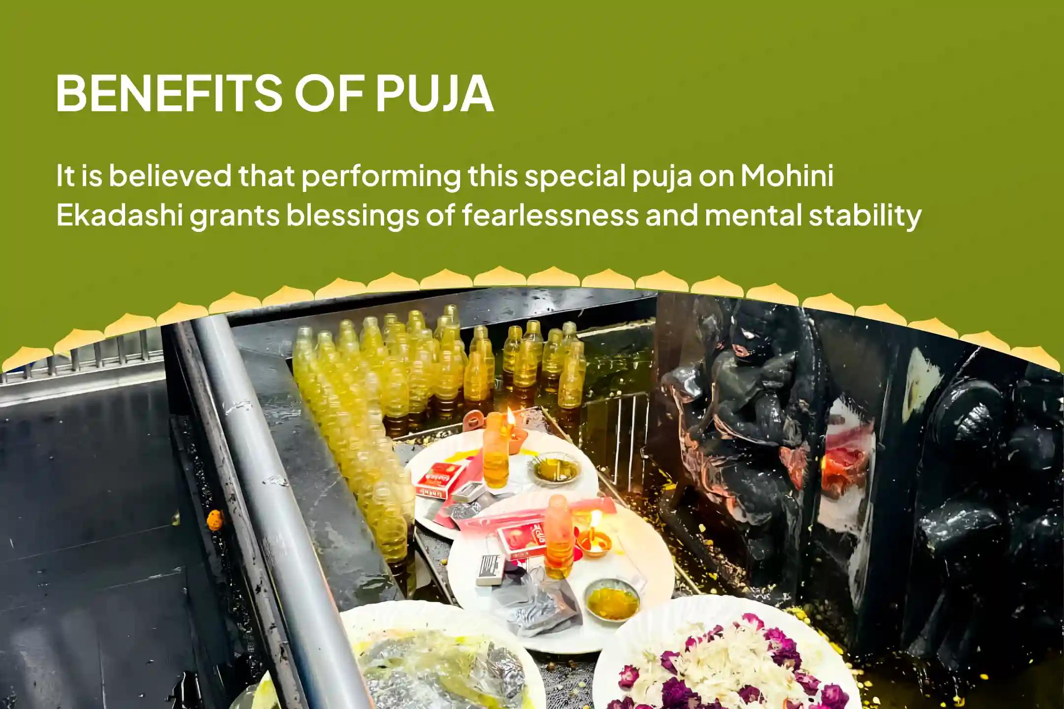 Mohini Ekadashi Rahu-Ketu Shanti Sarp Dosha Special Kaal Sarp Dosh Shanti Puja and Surdarshan Yagya for Fearlessness and Achieving Mental Stability