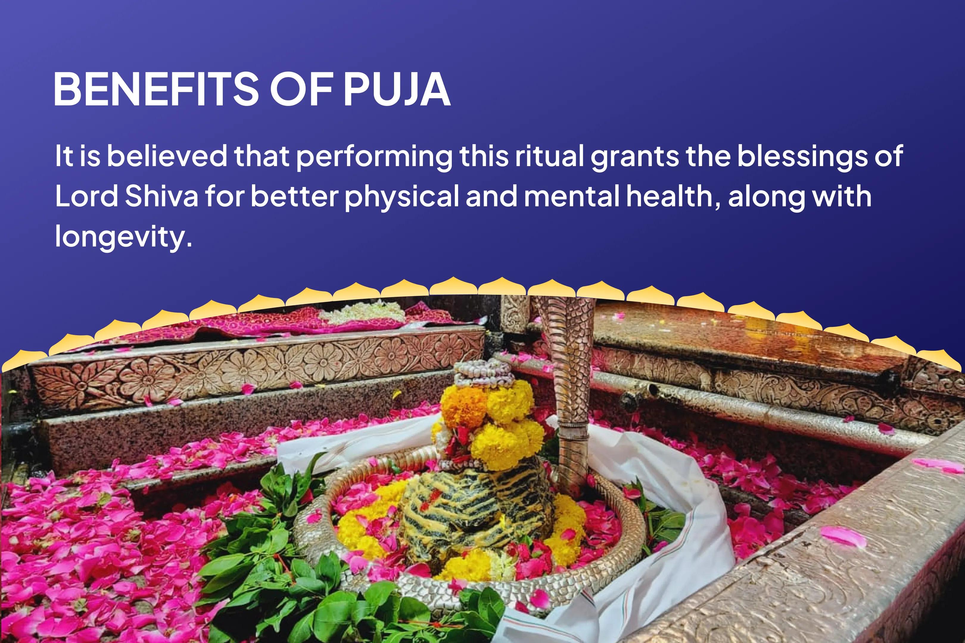 Physical and Mental Well-Being Special Health and Wellness Special Puja and Yagya Invite Shiva's Divine Healing for Health and Longevity