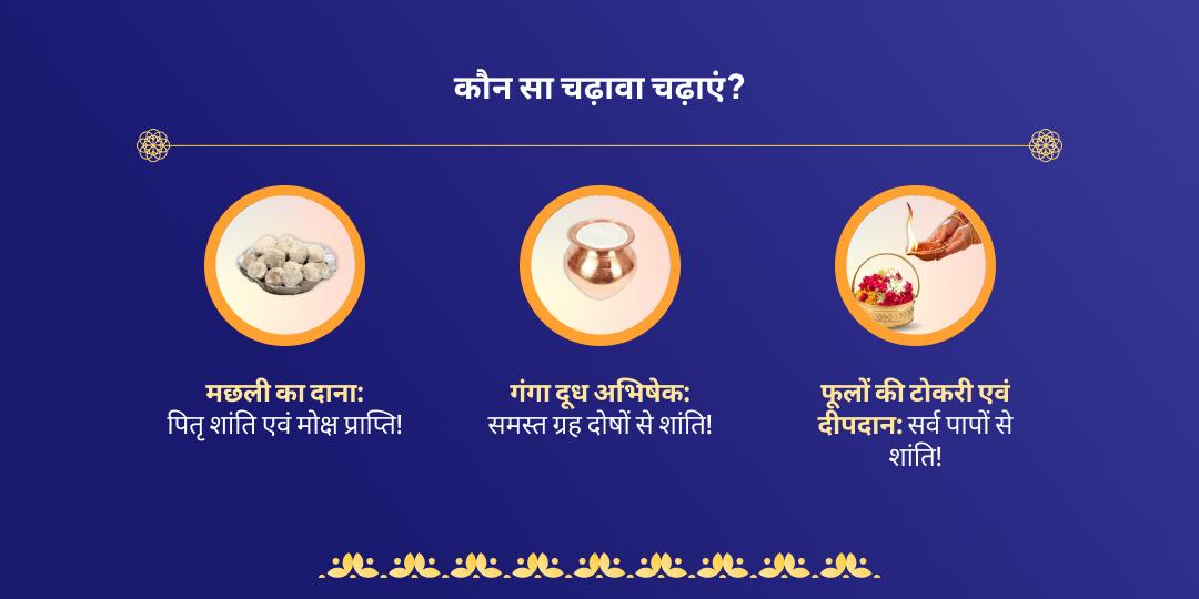 एकादशी माँ गंगा घाट हरिद्वार चढ़ावा
