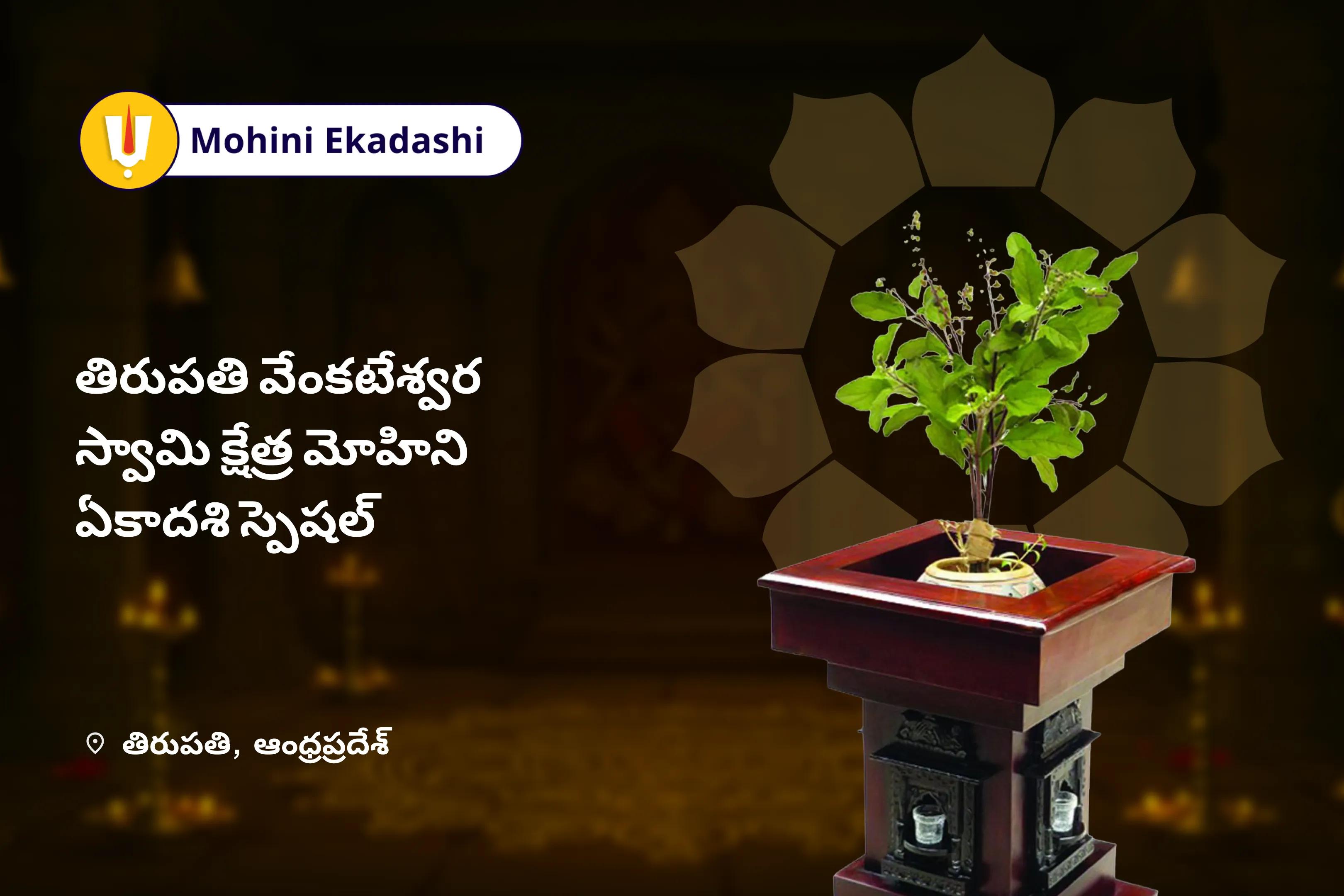  తిరుపతి వెంకటేశ్వర స్వామి క్షేత్ర మోహిని ఏకాదశి స్పెషల్ సహస్ర తులసి దళ అర్చన మరియు విష్ణు సహస్ర నామ పారాయణం దైవిక ఆశీర్వాదాలు మరియు శ్రేయస్సు కోసం