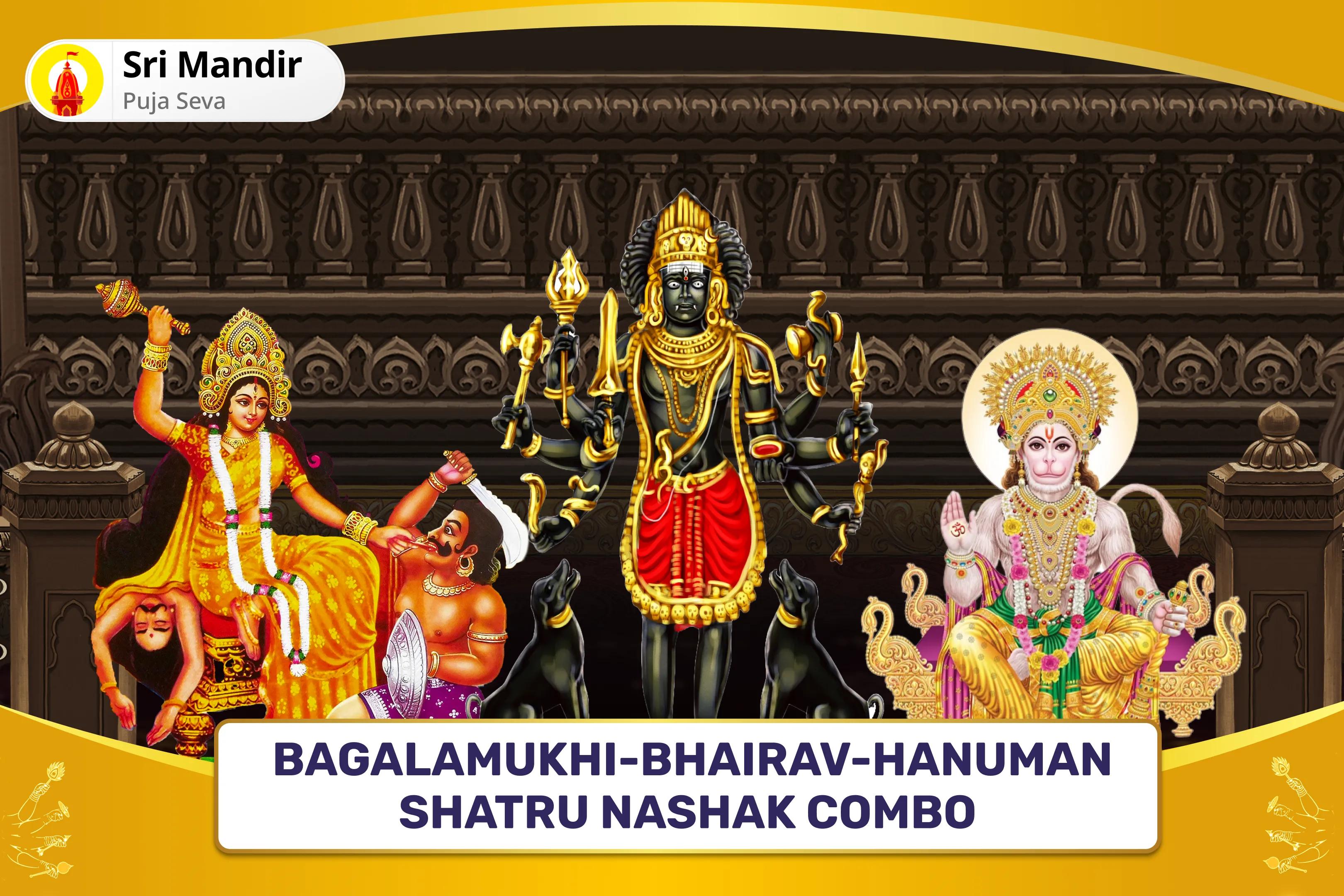 Strength, Support & Protection Combo Bagalamukhi-Bhairav & Hanuman Triple Energy Boost Puja & Yagya For Protection From Enemies and Negativity