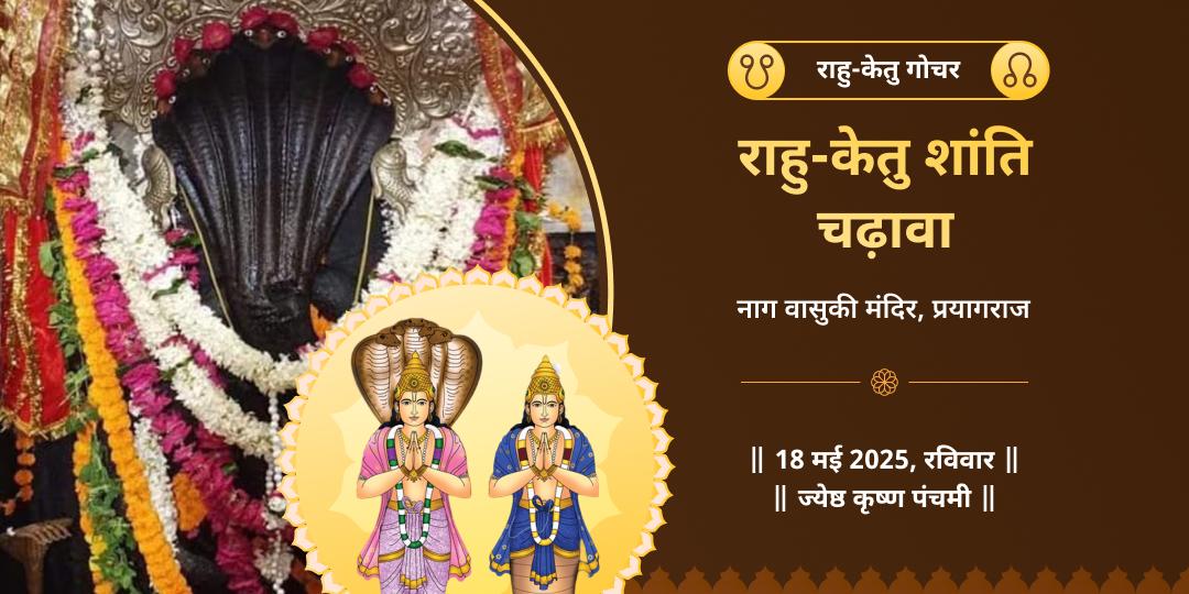 राहु-केतु गोचर नाग वासुकी चढ़ावा 