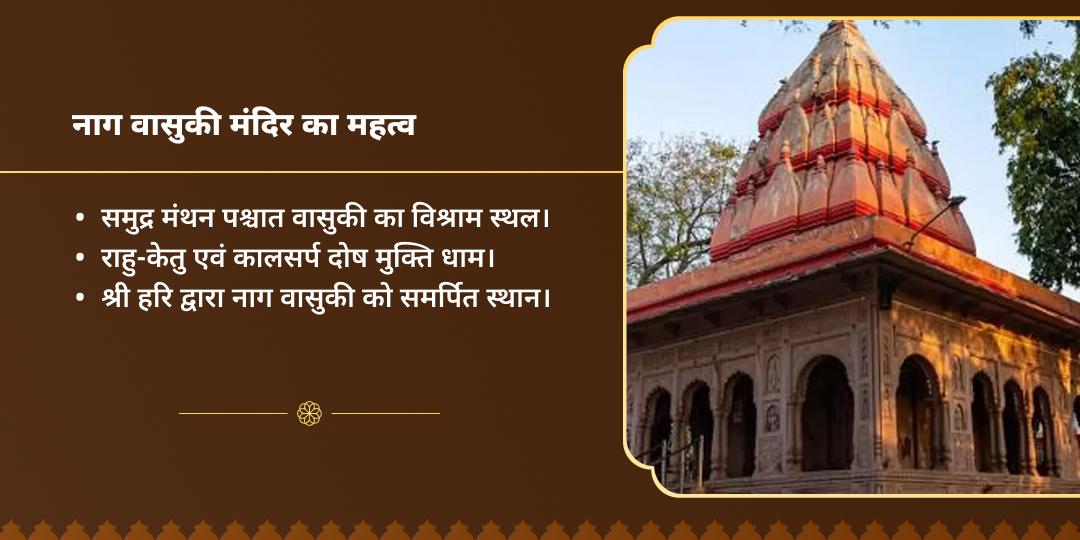 राहु-केतु गोचर नाग वासुकी चढ़ावा 