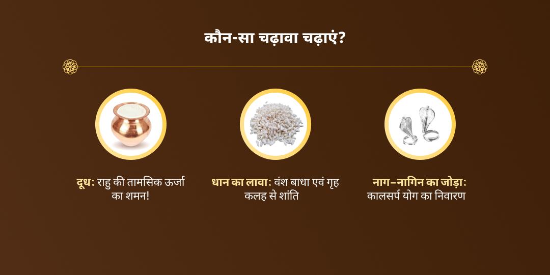 राहु-केतु गोचर नाग वासुकी चढ़ावा 