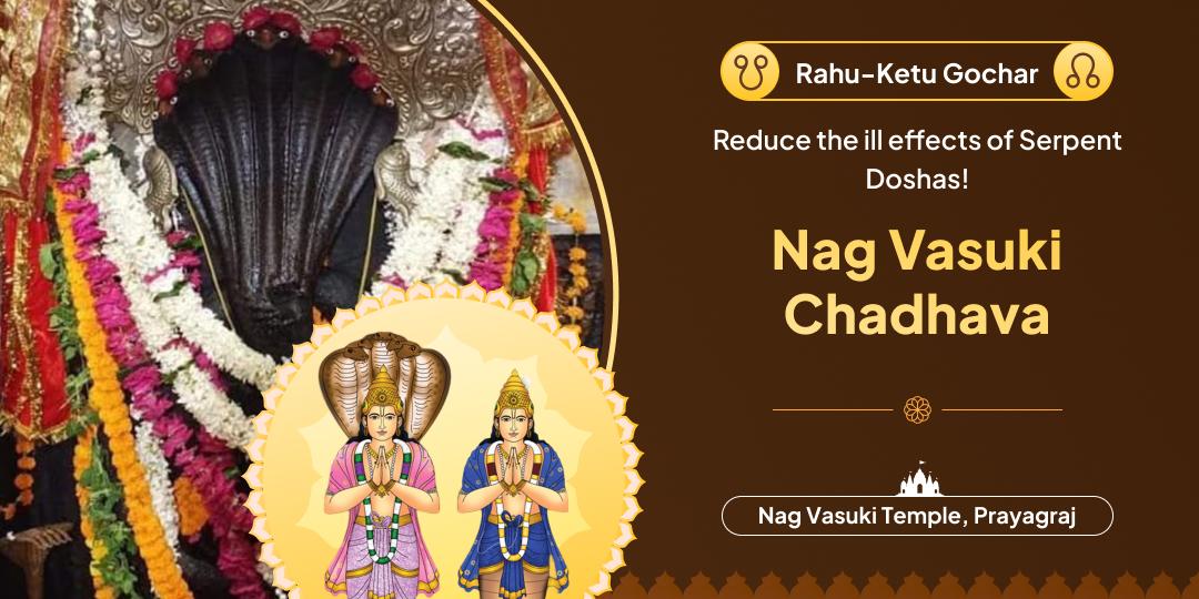 Remove the ill effects of Rahu-Ketu Doshas by honoring Nag Vasuki through a chadhava at Shri Nag Vasuki Temple