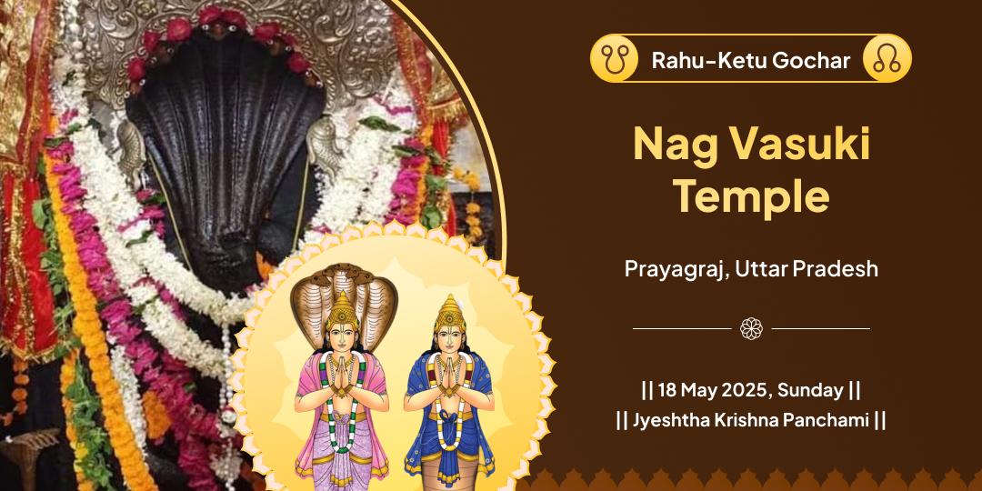 Rahu–Ketu Gochar Nag Vasuki Chadhava