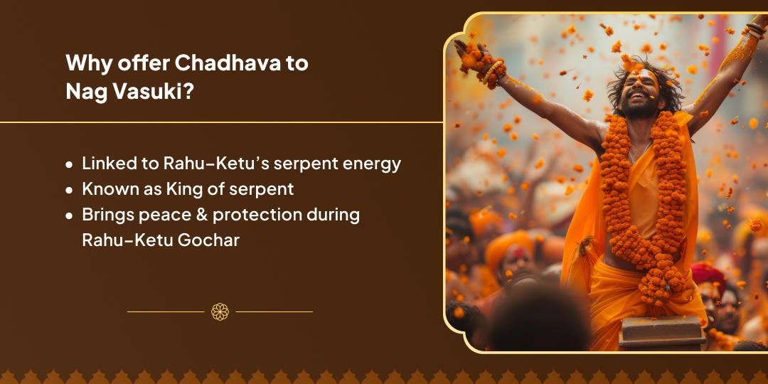 Rahu–Ketu Gochar Nag Vasuki Chadhava
