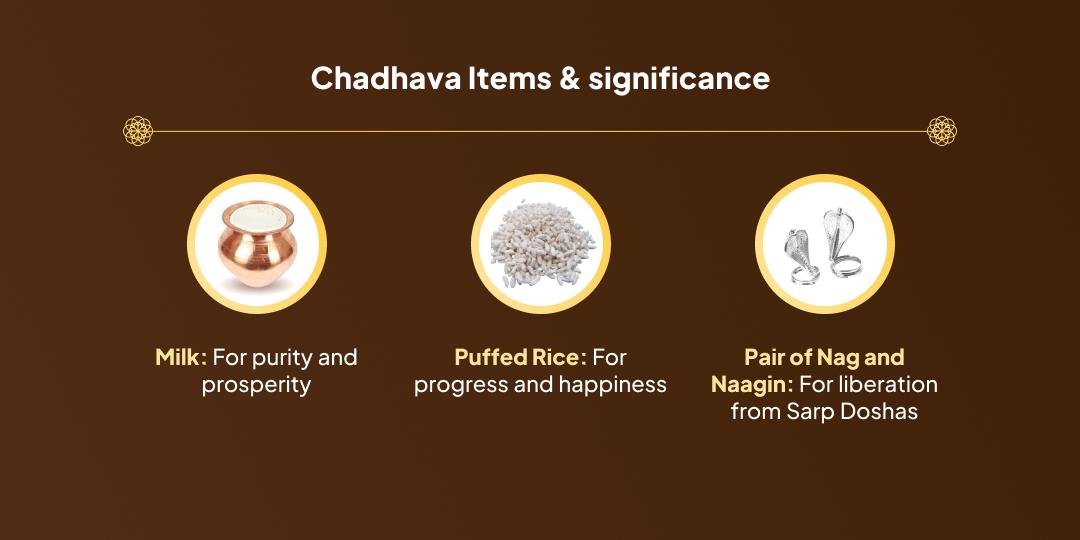 Rahu–Ketu Gochar Nag Vasuki Chadhava