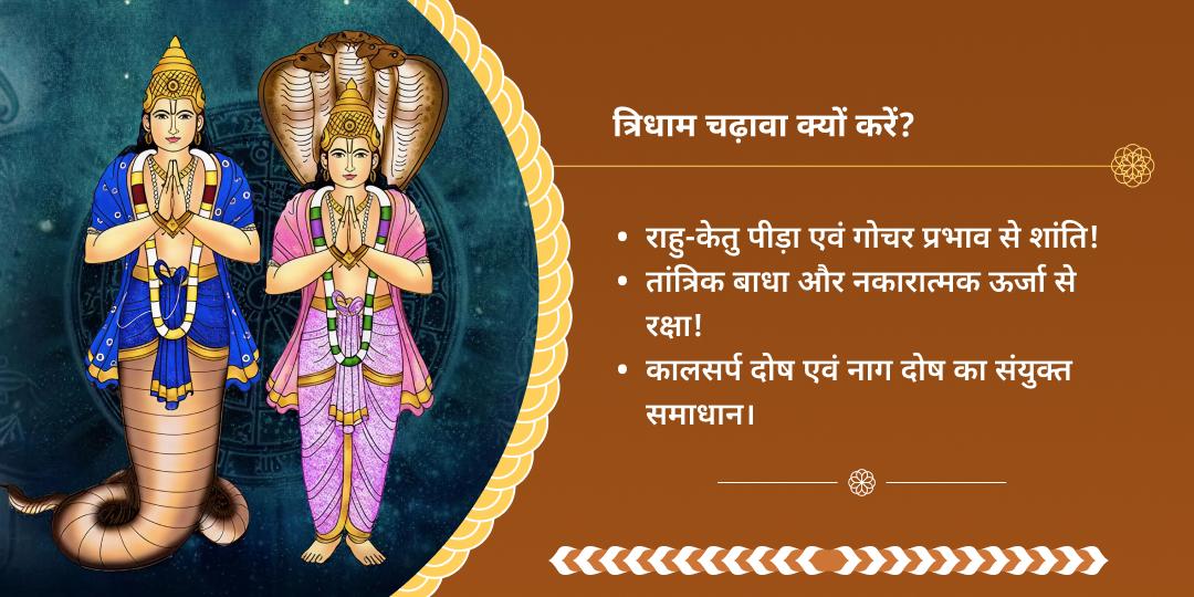 राहु-केतु गोचर रक्षा कवच महासेवा 