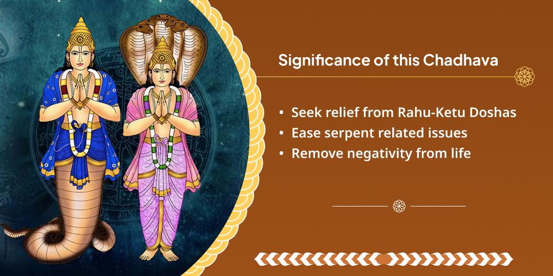  Rahu–Ketu Gochar Raksha Kavach Maha Seva
