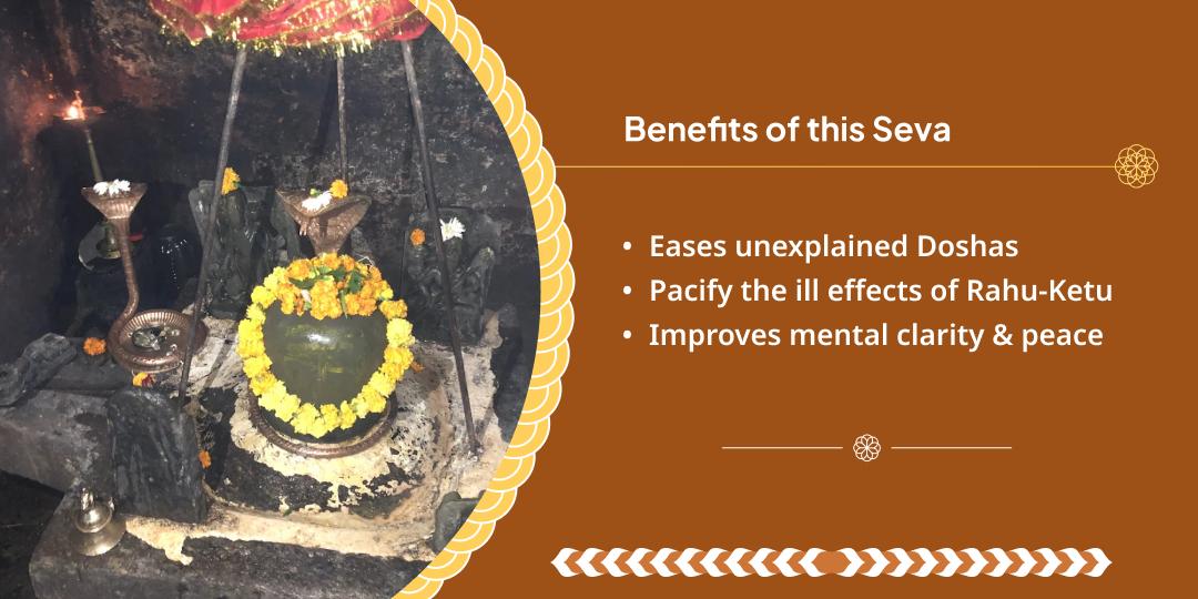 Rahu–Ketu Gochar Rahu Paithani Temple Chadhava and Hawan Aahuti Daan