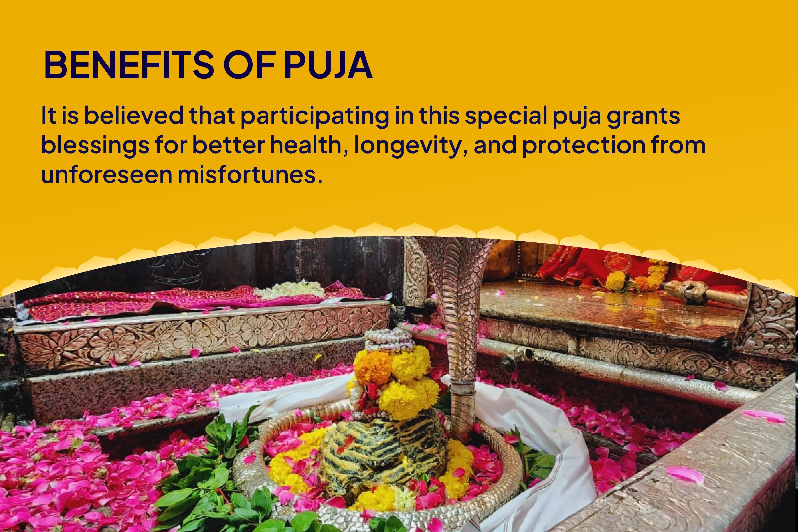 Physical and Mental Well-being Special Health and Wellness Special Puja and Yagya Invite Shiva's Divine Healing for Health and Longevity