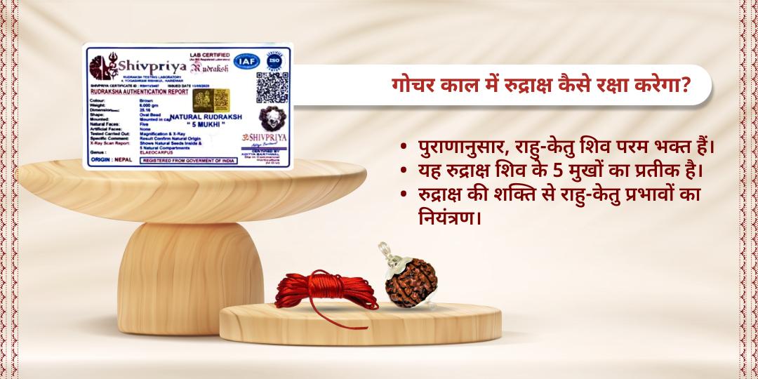 राहु-केतु शांति पंचमुखी रुद्राक्ष एवं मौली होम डिलीवरी