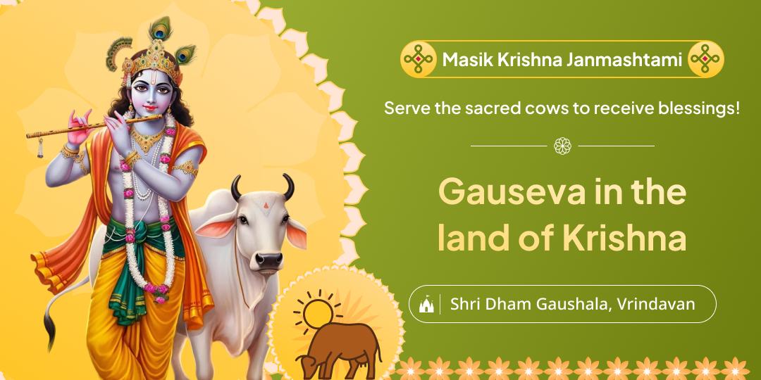 Express your devotion & gratitude through Gau Seva on Masik Krishna Janmashtami
