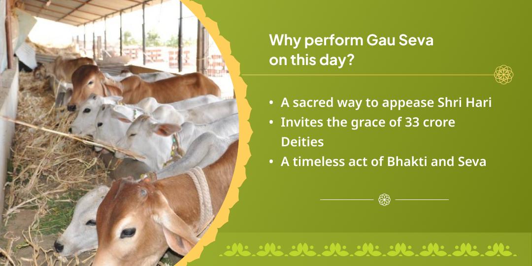 Masik Krishna Janmashtami Shri Dham Gaushala Gauseva