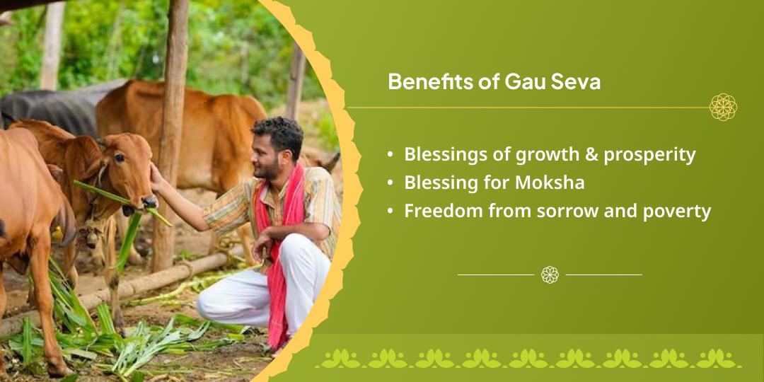 Masik Krishna Janmashtami Shri Dham Gaushala Gauseva