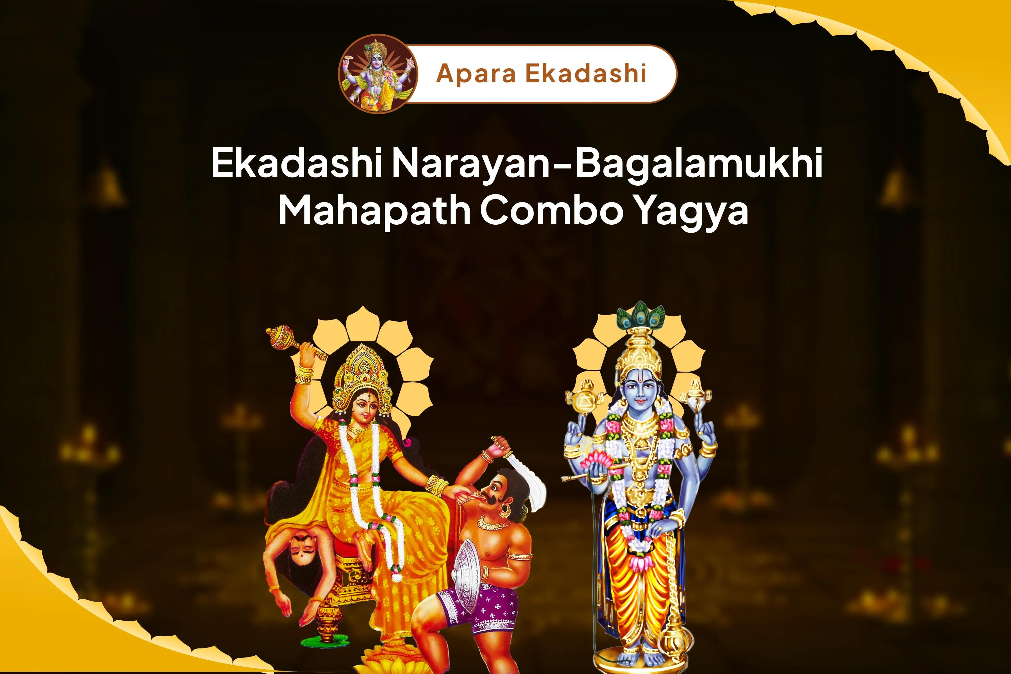 Ekadashi Narayan-Bagalamukhi Mahapath Combo Yagya 36,000 Maa Bagalamukhi Mantra Jaap and Narayan Sudarshan Kavacham Yagya For Resolving Legal Battles, Ensuring Victory, and Removing Enmity