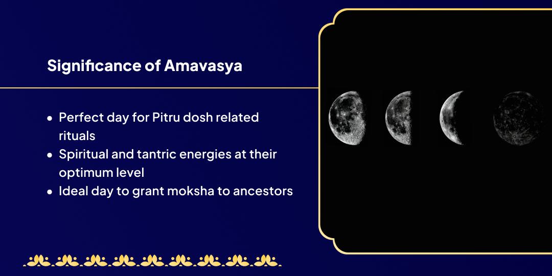 Amavasya Gaya Pitru Shanti Hawan Aahuti Daan