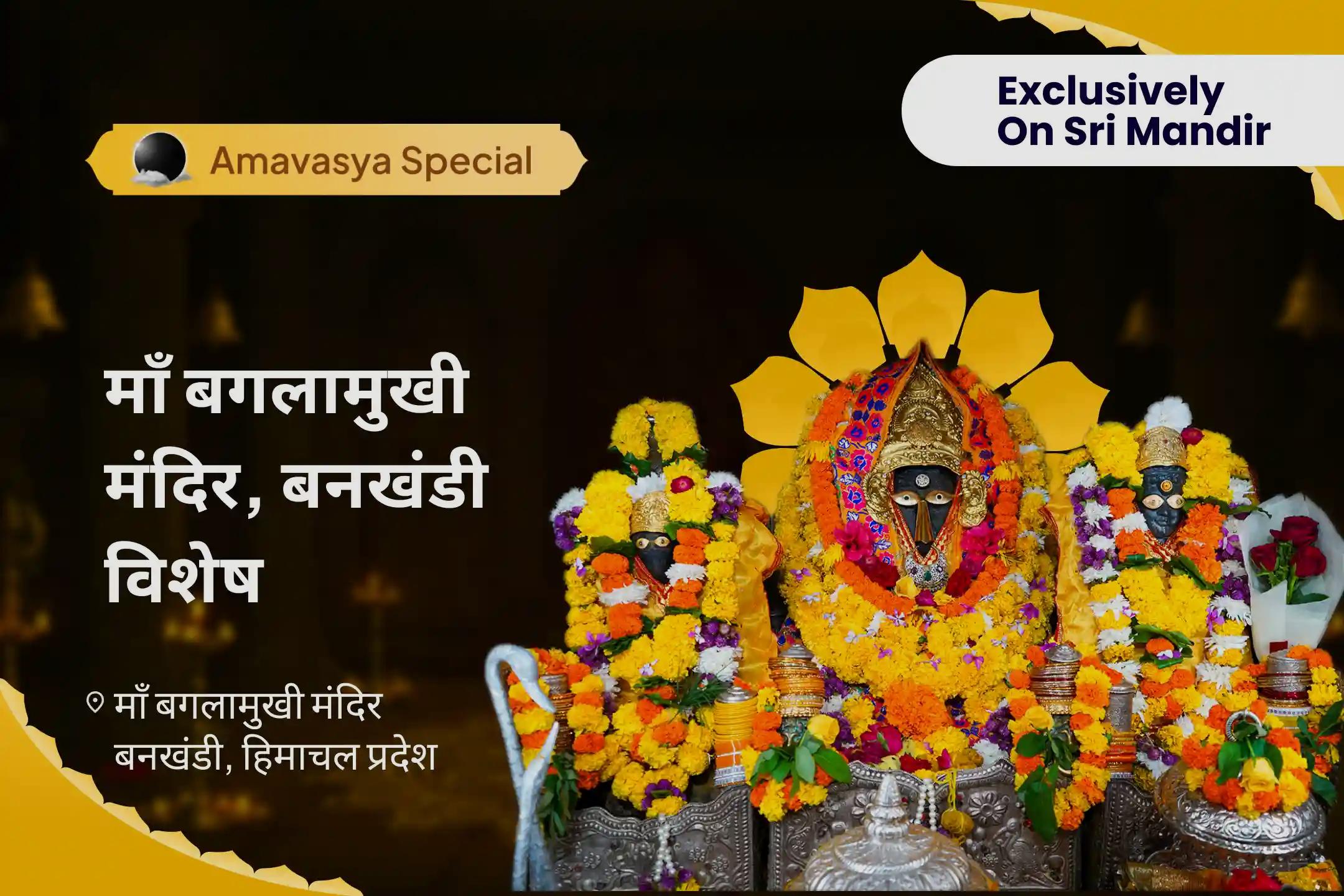 सुख, समृद्धि और शांति के लिए मां बगलामुखी मंदिर, बनखंडी विशेष माँ बगलामुखी अमावस्या विशेष पूजा