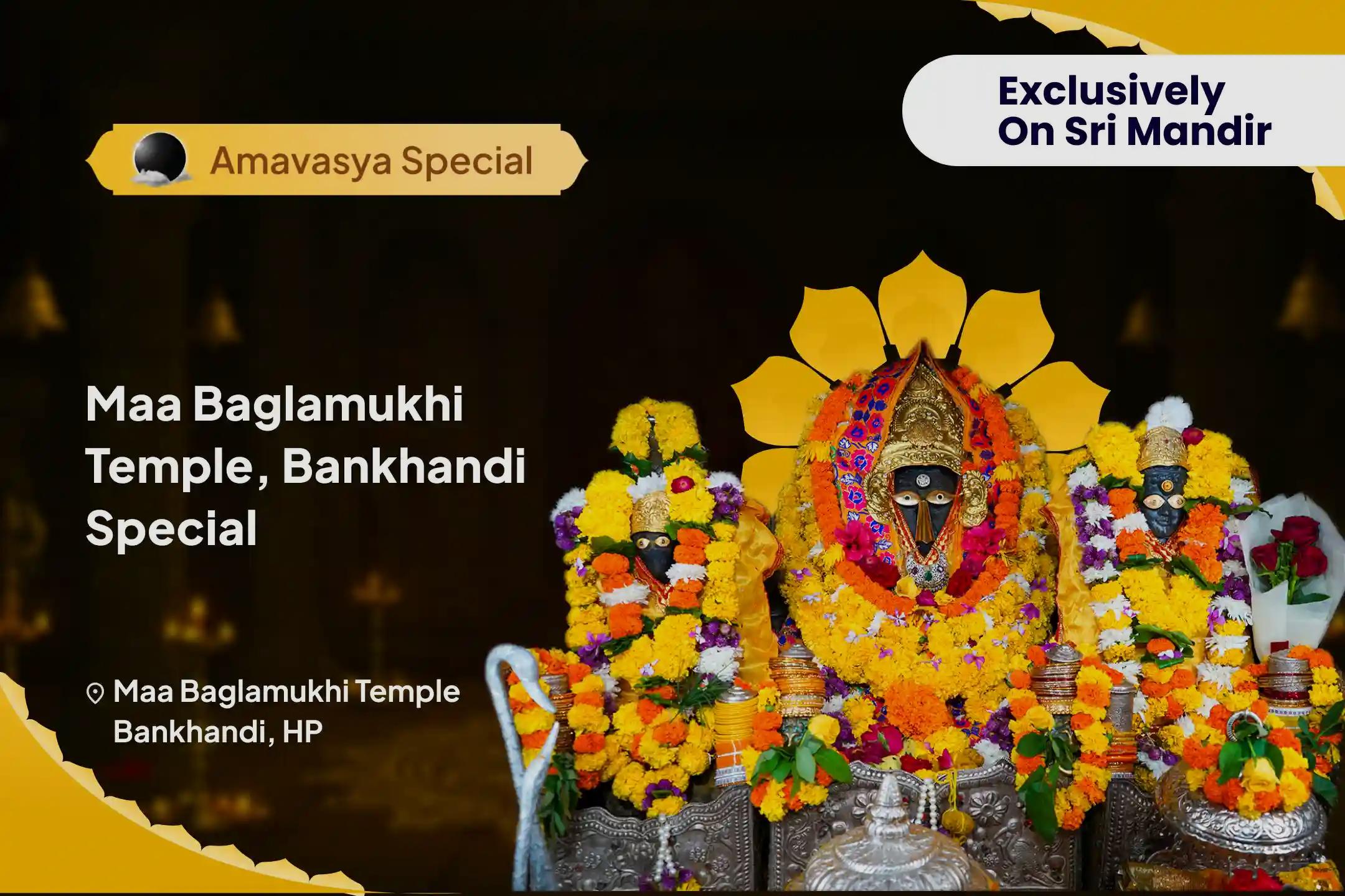 Maa Baglamukhi Temple, Bankhandi Special Maa Baglamukhi Amavasya Special Puja For Sukh, Samriddhi and Shanti
