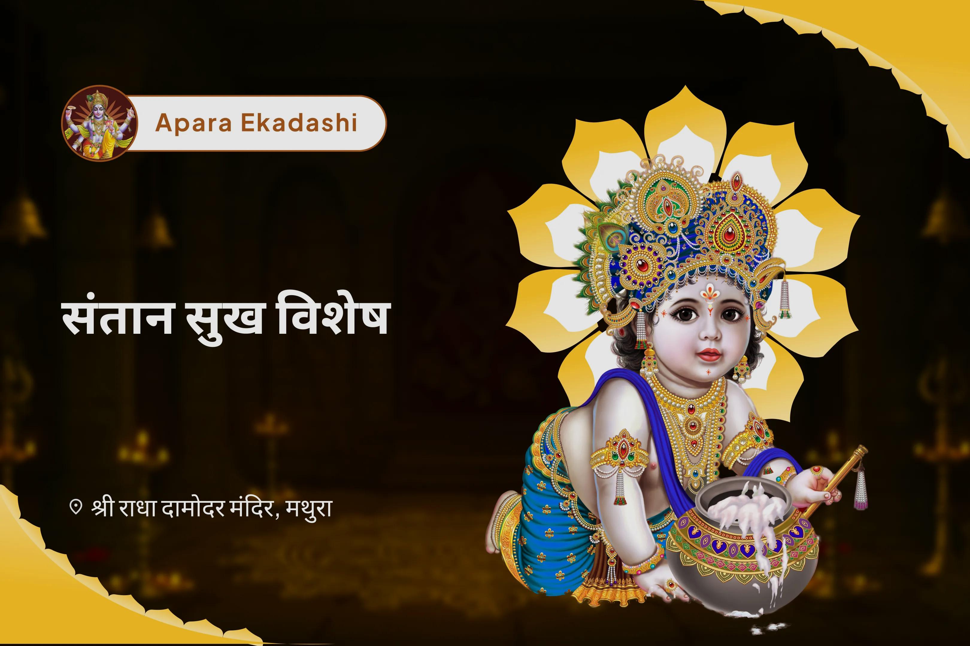 बच्चों और परिवार की भलाई के लिए अपरा एकादशी संतान सुख विशेष 11,000 संतान गोपाल मंत्र जाप, श्री लड्डू गोपाल पंचामृत अभिषेक, संतान सुख प्राप्ति हवन
