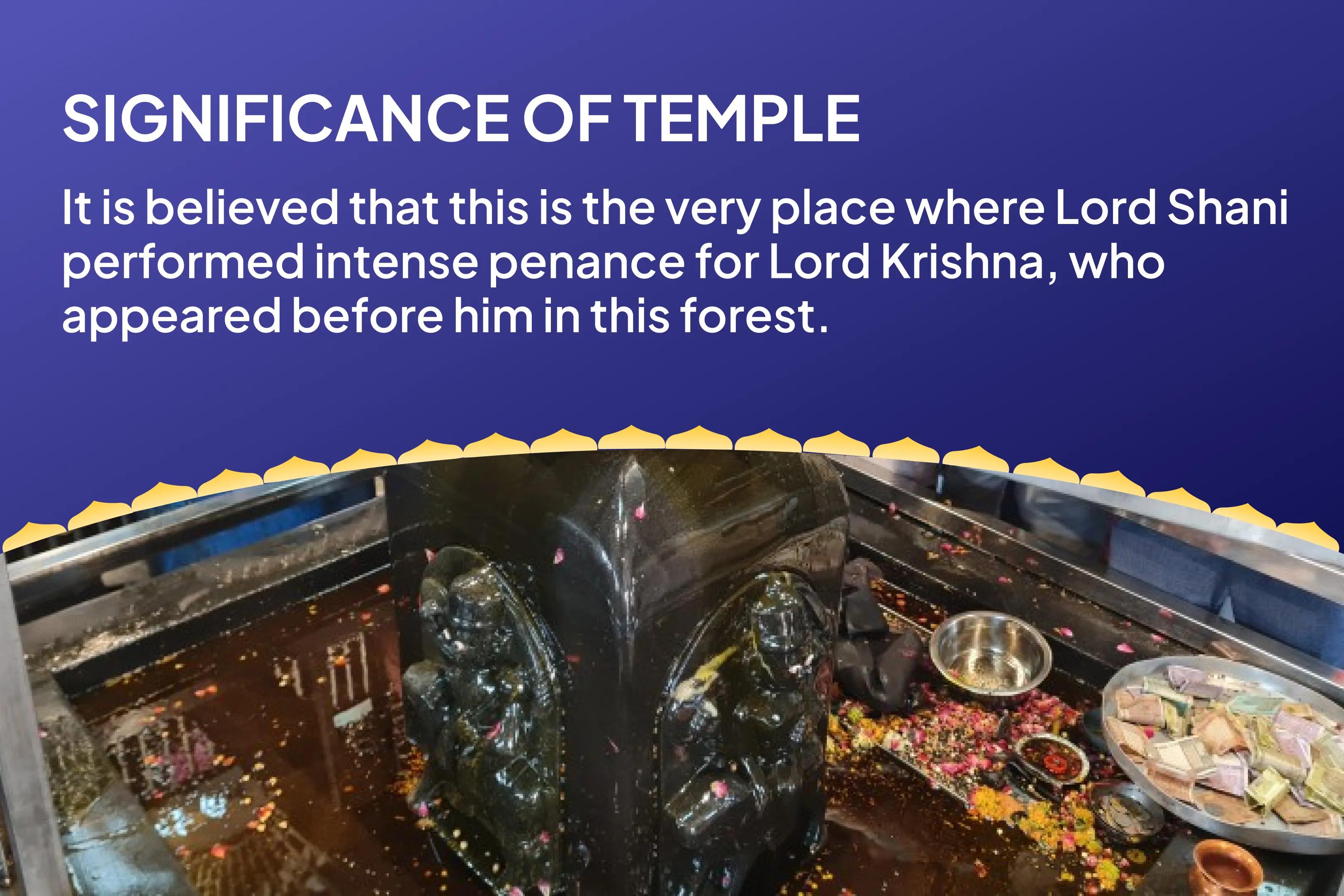 Saturday Peepal Tree Shani Shila Stapana Special Shani Kavach Stotra Path, Krishna Govinda Mantra Jaap, and Shani Shanti Yagya Best Remedy for Saade Saati and Dhaiya Afflictions