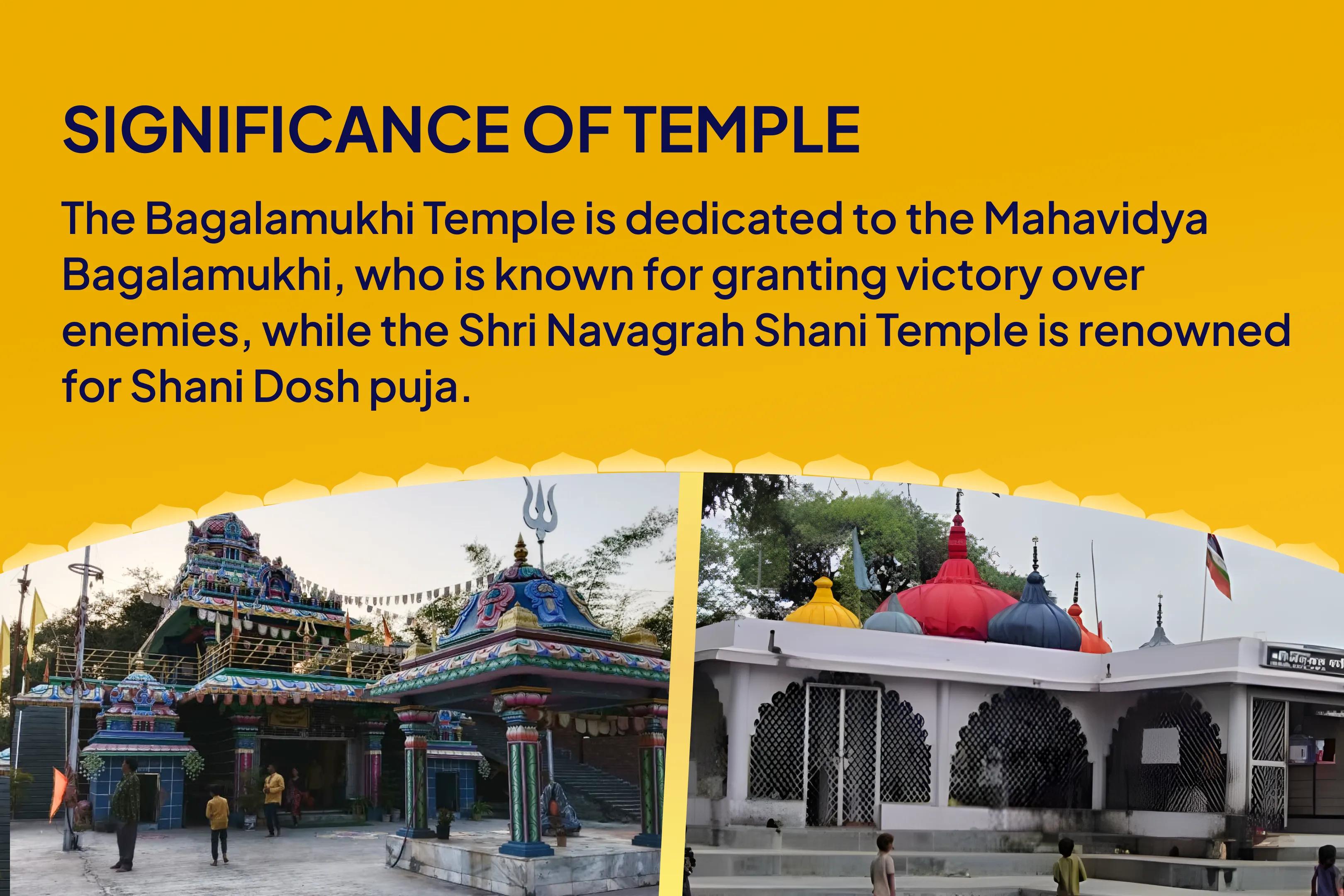 Shani Jayanti Maa Bagalamukhi-Shani Combo Special Maa Bagalamukhi Tantra Yukta Havan and Shani Til Tel Abhishek To get Blessing for Victory over Enemies and in Court Cases 