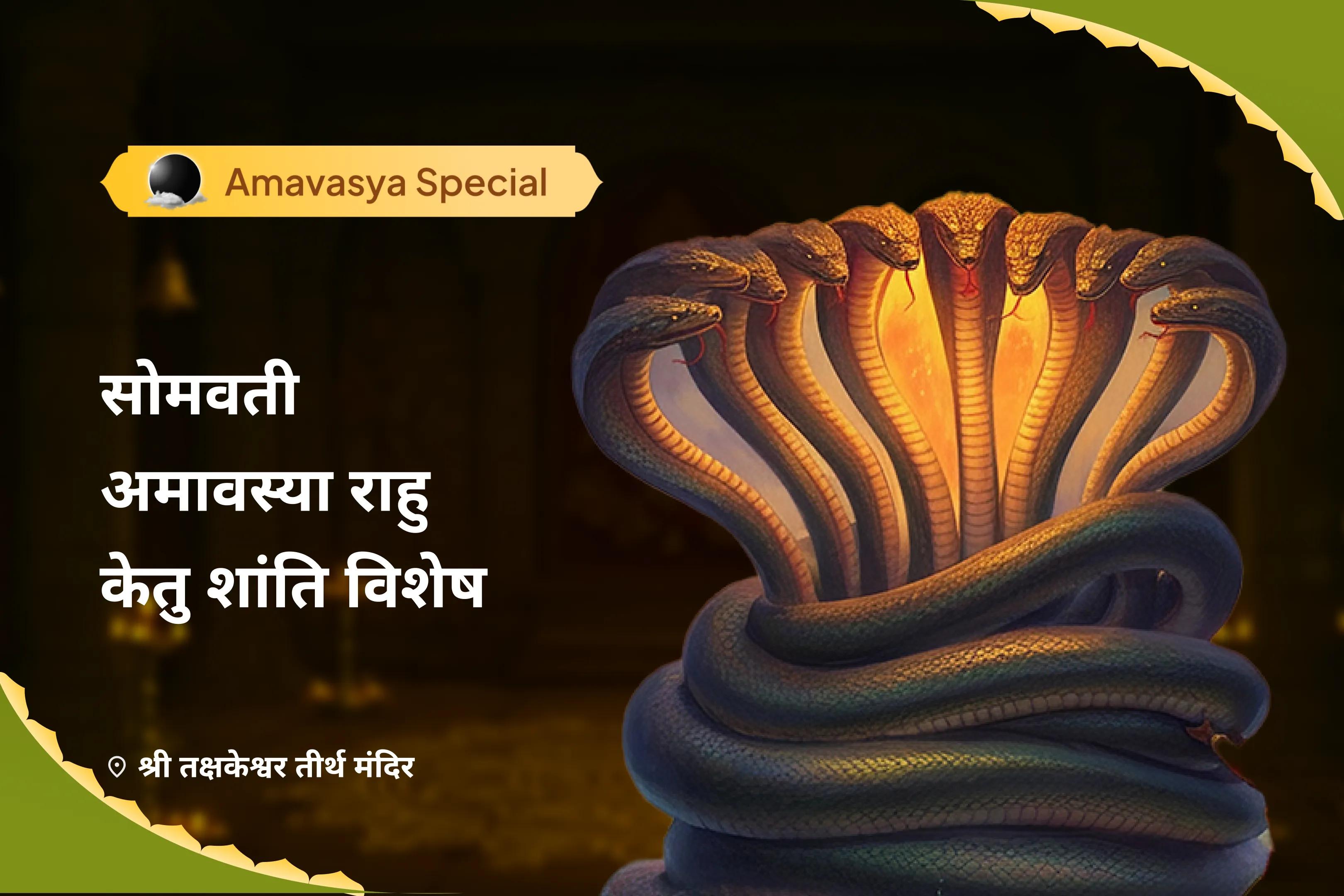 सोमवती अमावस्या राहु-केतु शांति विशेष काल सर्प दोष शांति पूजा एवं शिव रुद्राभिषेक