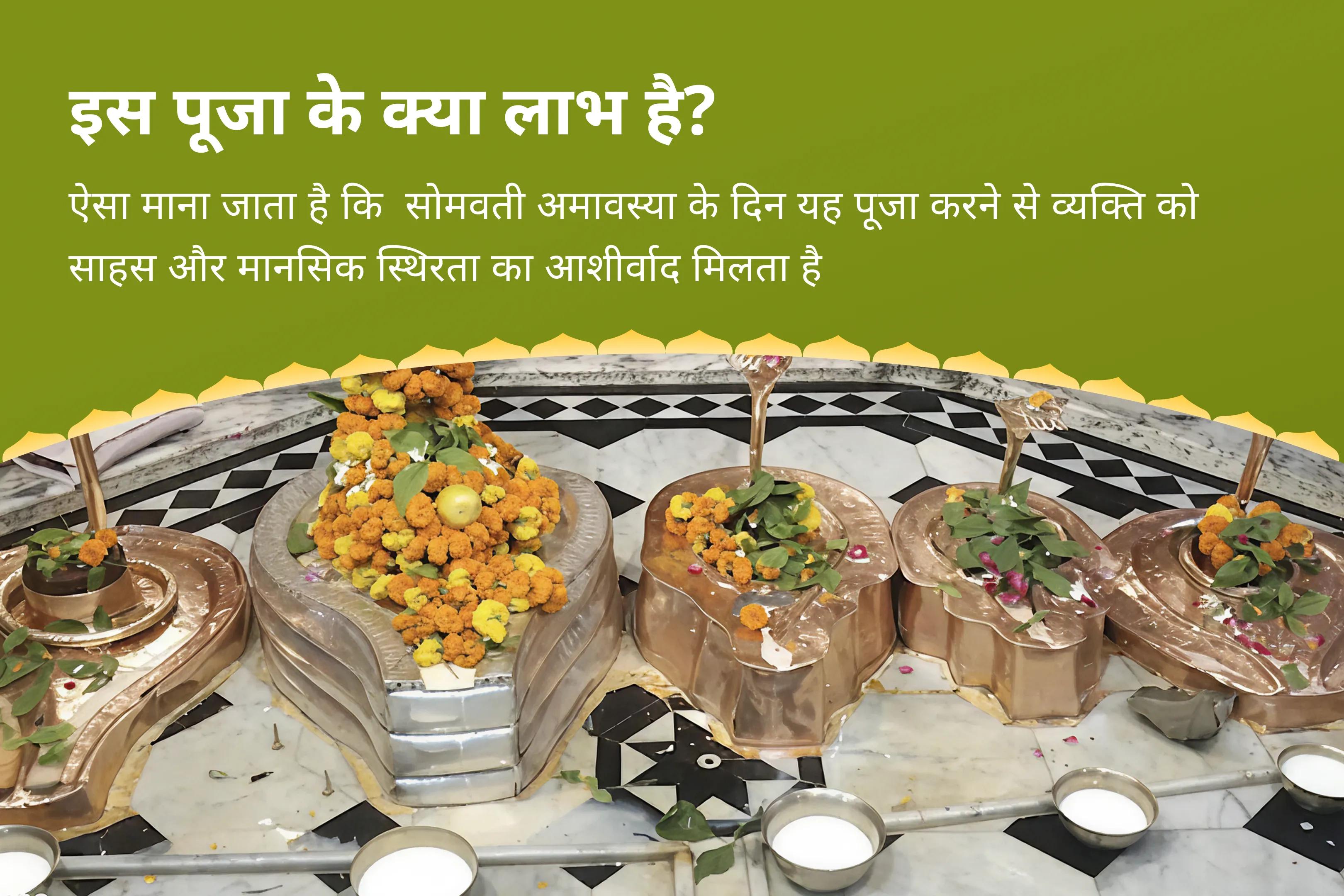 सोमवती अमावस्या राहु-केतु शांति विशेष काल सर्प दोष शांति पूजा एवं शिव रुद्राभिषेक