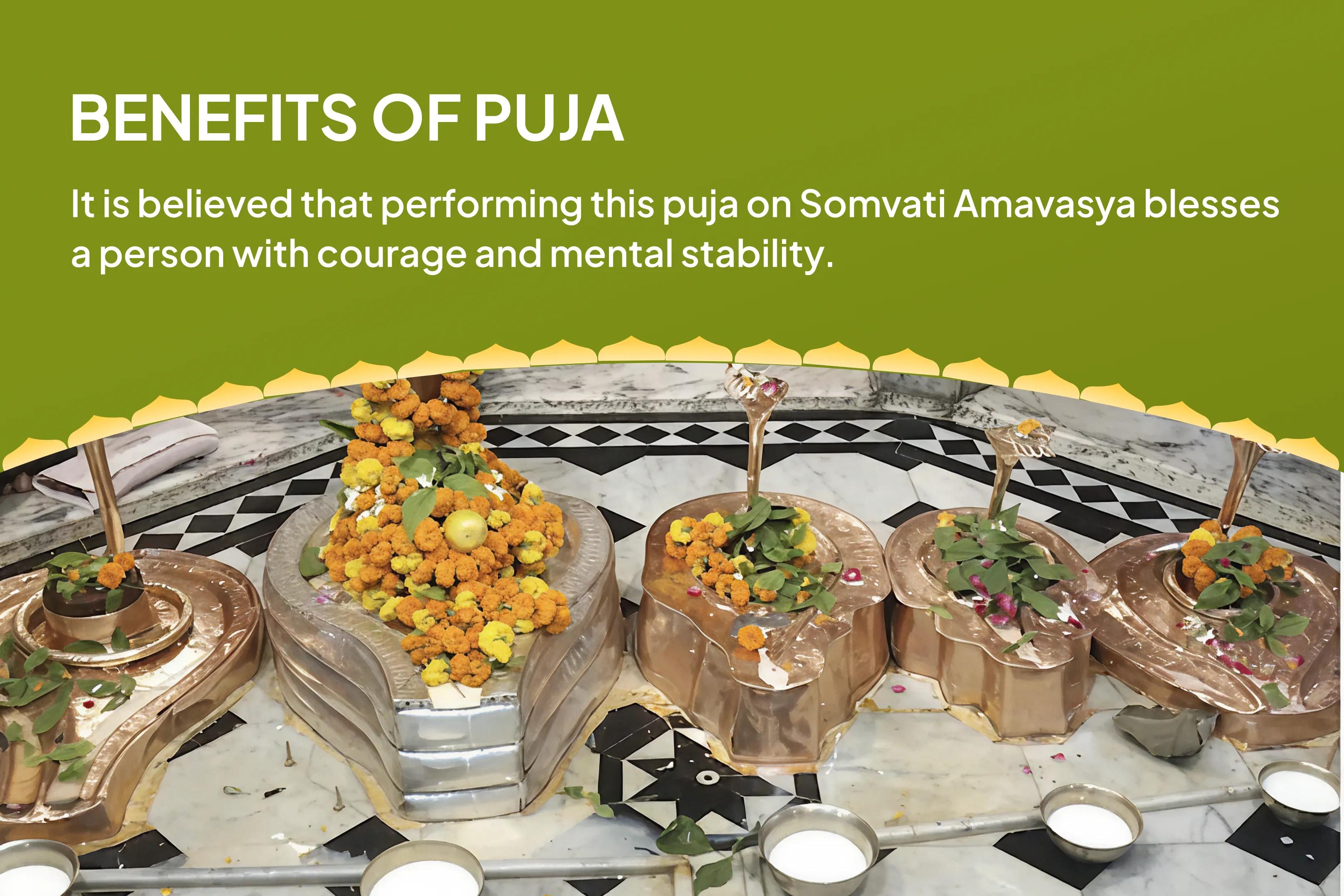 Kaal Sarp Dosh Shanti Puja and Shiv Rudrabhishek