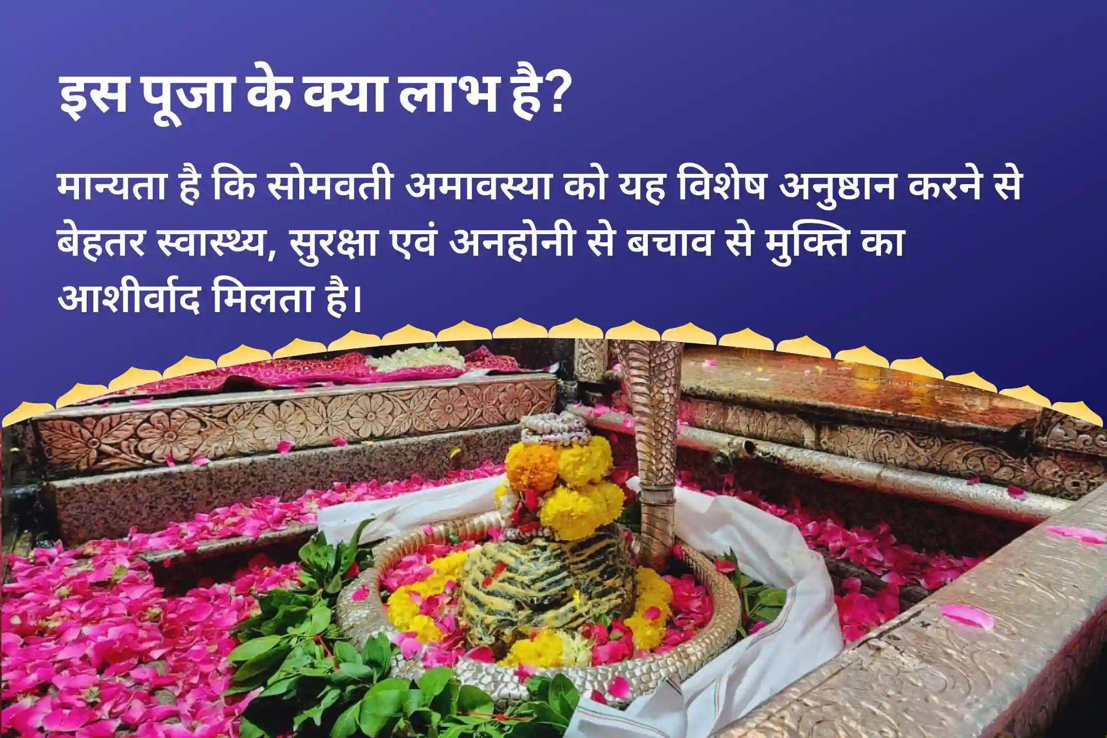 बेहतर स्वास्थ्य, सुरक्षा एवं अनहोनी से बचाव के लिए सोमवती अमावस्या ज्योतिर्लिंग शिव कवच विशेष ओंकारेश्वर रुद्राभिषेक एवं 11,000 महामृत्युंजय मंत्र जाप
