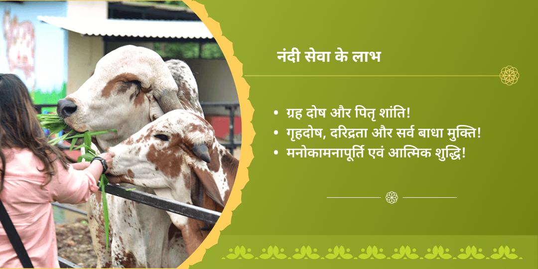 प्रथम सोमवती अमावस्या शिव जी विशेष नंदी महासेवा