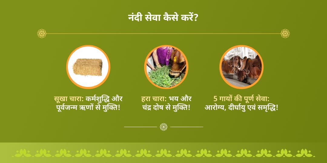 प्रथम सोमवती अमावस्या शिव जी विशेष नंदी महासेवा