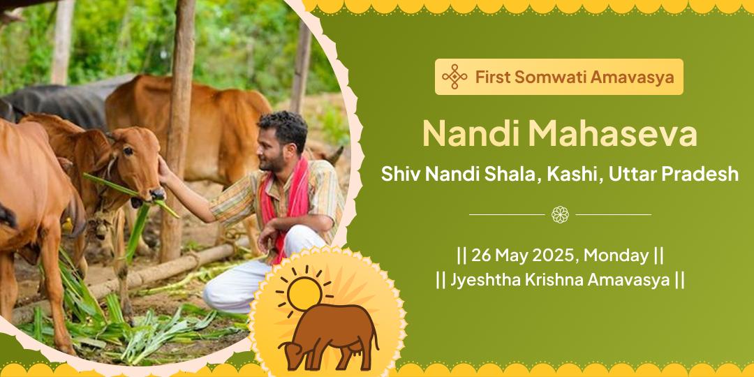 First Somwati Amavasya Mahakal Nagri Kashi Nandi Seva